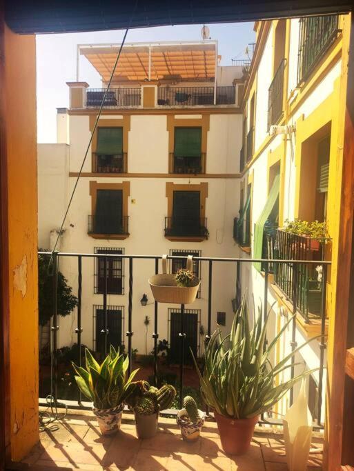Apartmán Plaza Cristo De Burgos Sevilla Exteriér fotografie