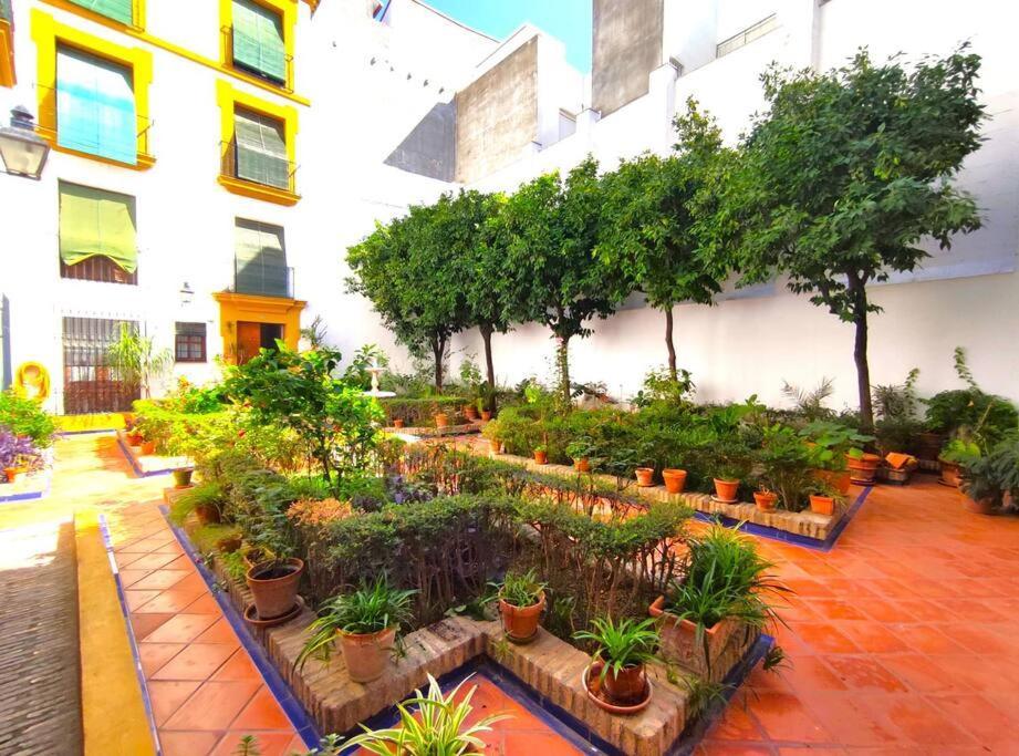 Apartmán Plaza Cristo De Burgos Sevilla Exteriér fotografie